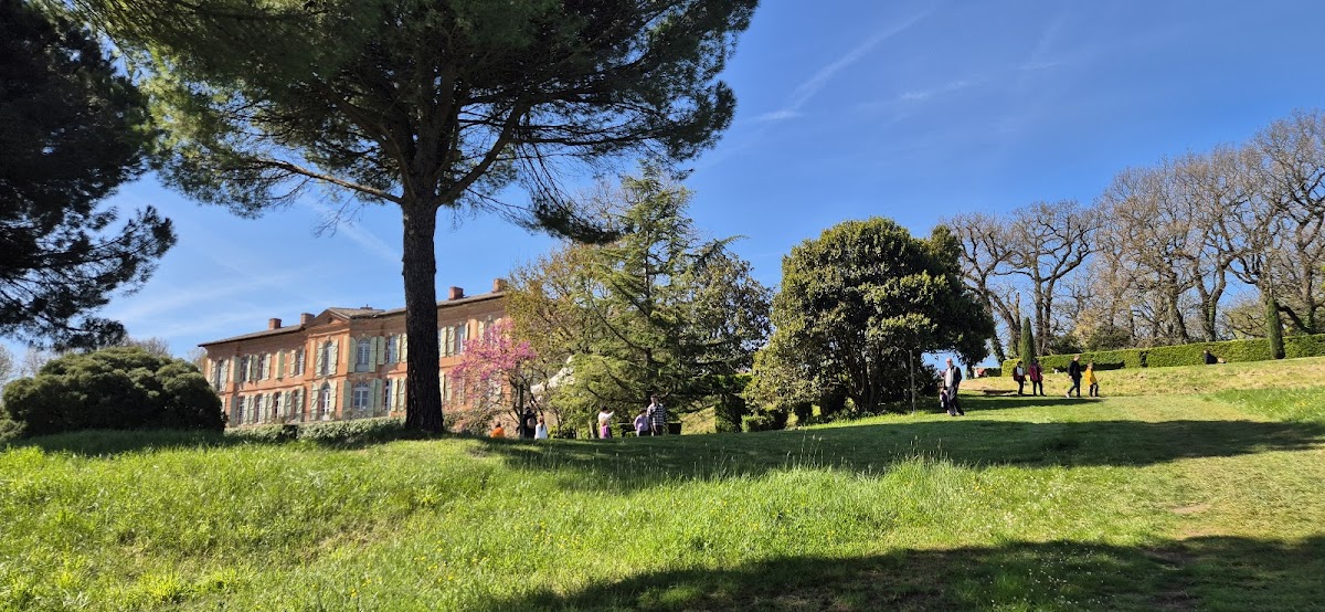 Château de Merville photo 2