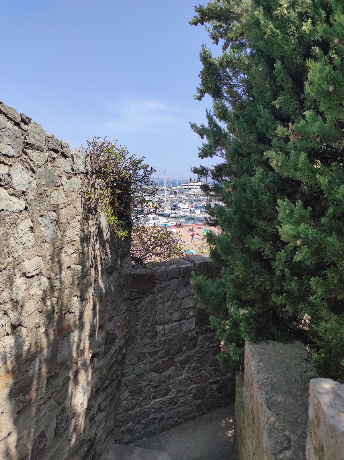 Château de la Napoule photo 5