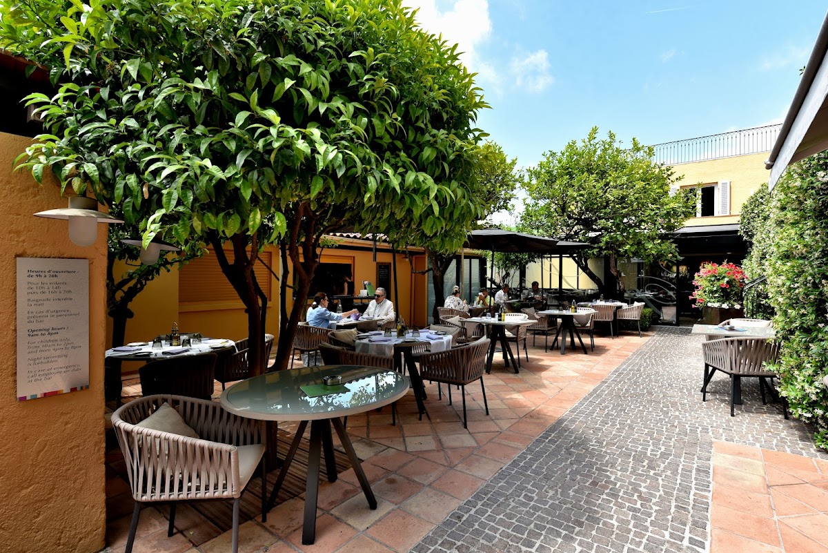 Terrasse du Port de Nice photo 3